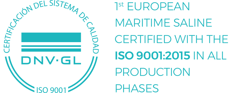 icono-certificado-calidad-ISO9001-2015-EN Icono certificado calidad